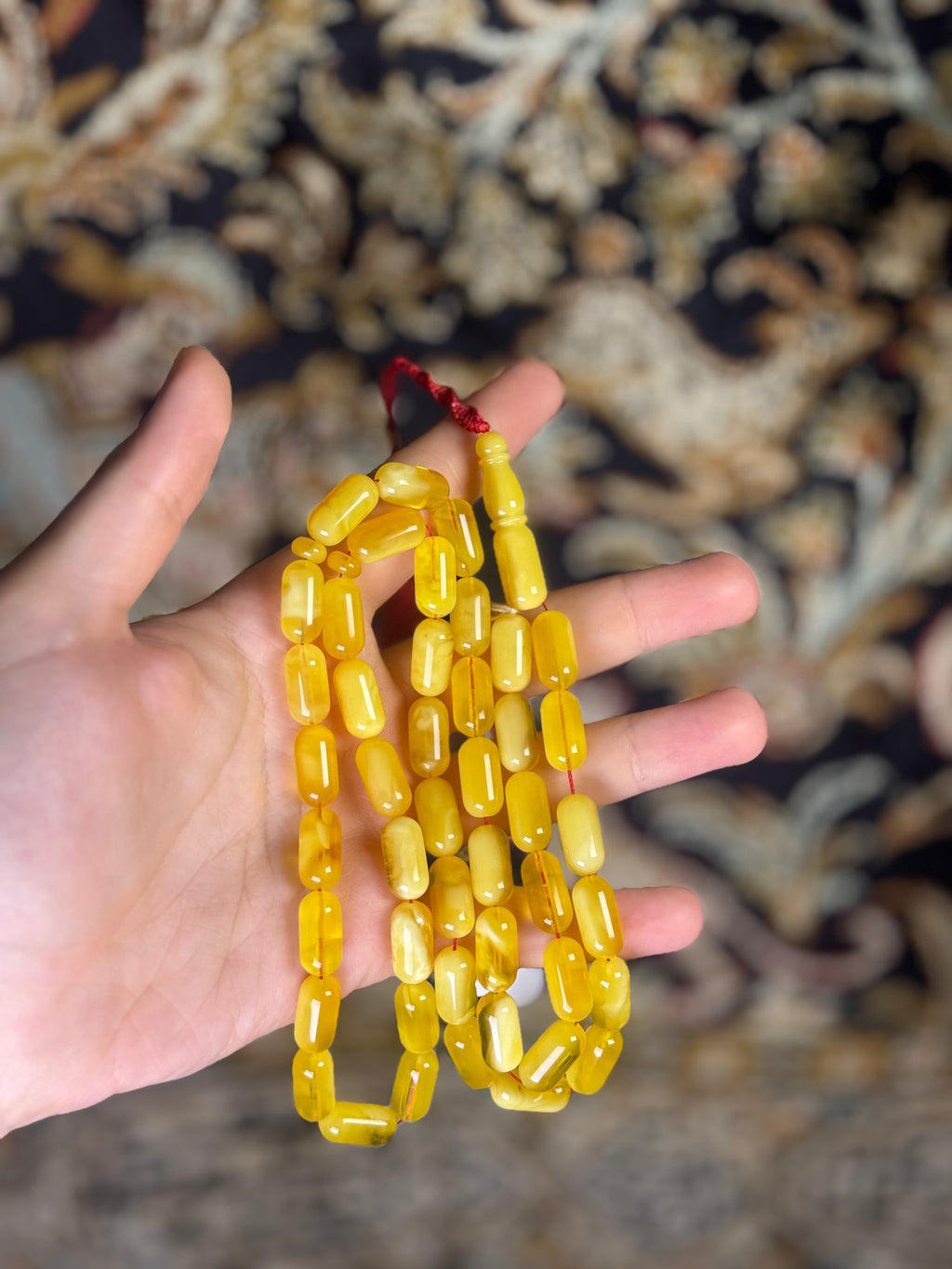 كهرب كالينينغرادي مبرقع
